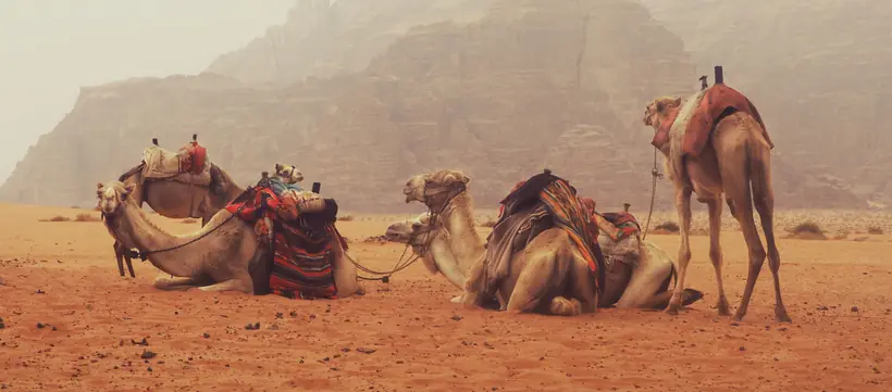 Hikers on a desert trail in Jordan
